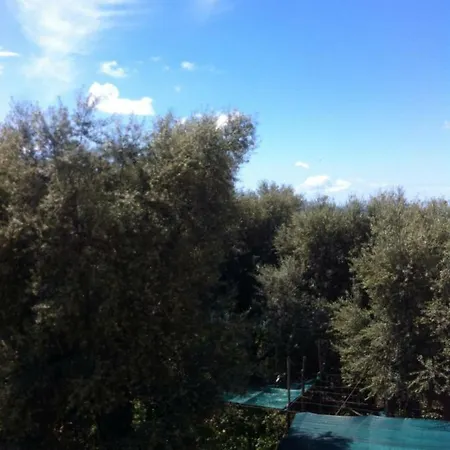 Casa Iolanda *